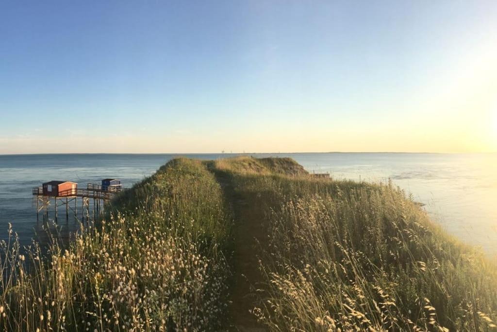 Beach Apartment - Ocean Sunset Full View 메쉐르-수르-지롱드 외부 사진